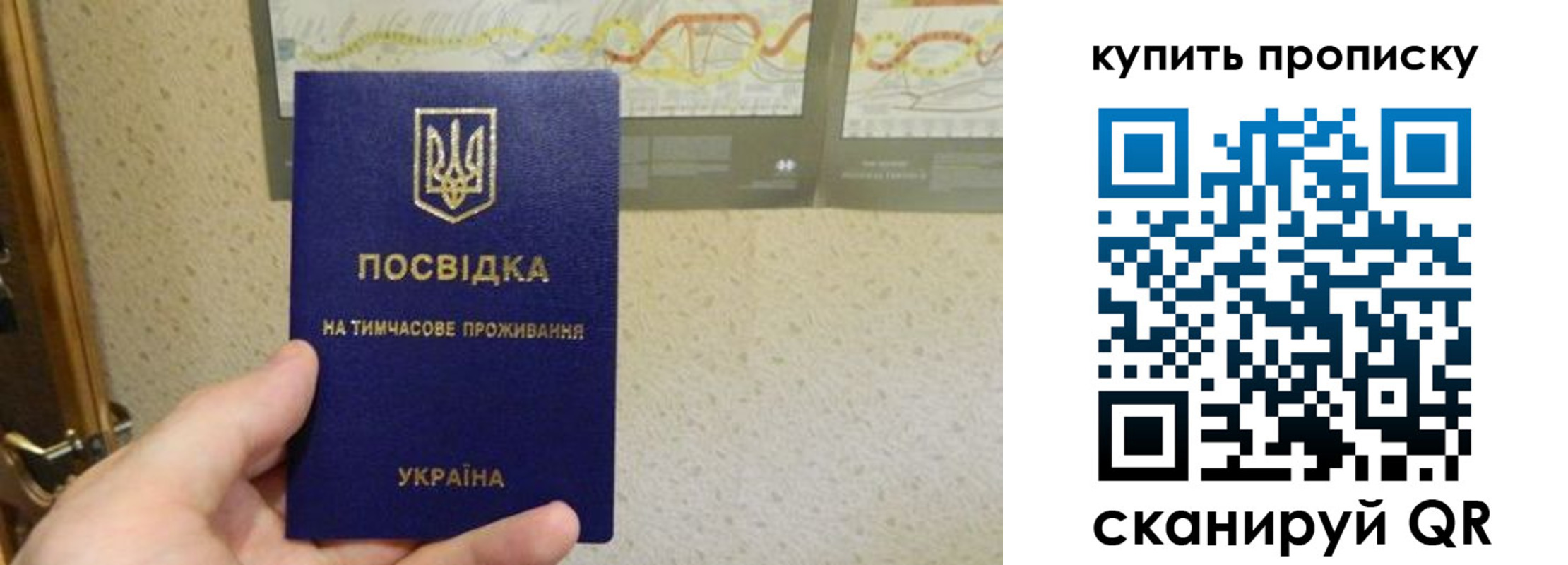 временная регистрация поиск в Боровичах